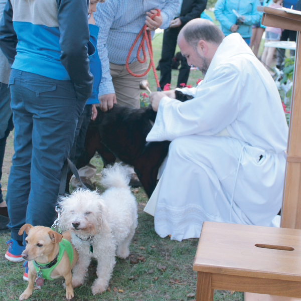 Pet Blessing