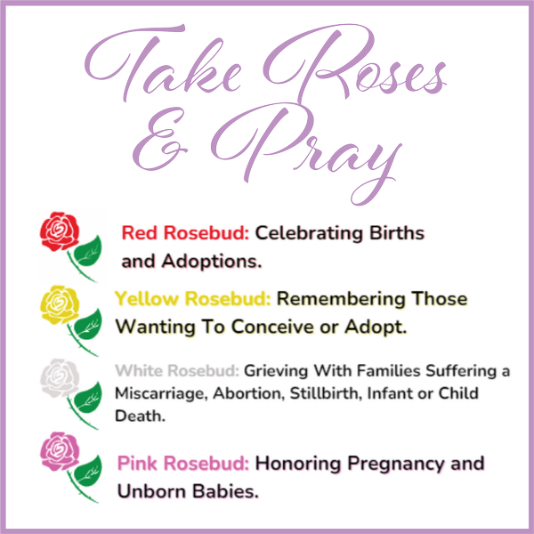 Rose Giveaway